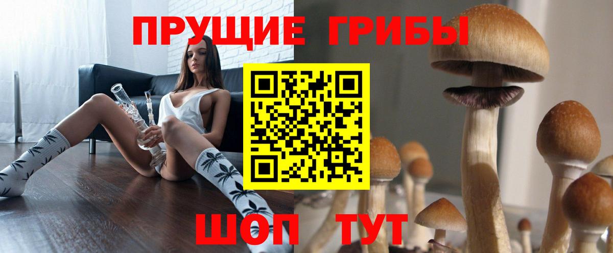 сколько стоит  Галлюциногенные грибы Magic Shrooms  Псилоцибиновые грибы MAGIC MUSHROOMS  Вход с VPN  Юрга 